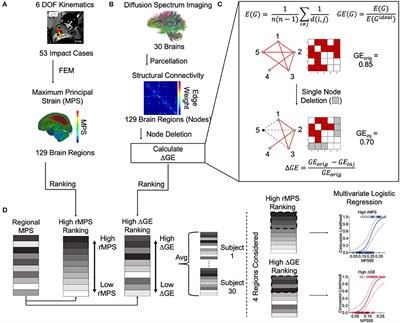 Predicting Concussion Outcome by Integrating Finite Element Modeling and Network Analysis